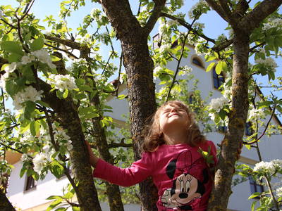 Bild 3 aus  Döllelhof Erding