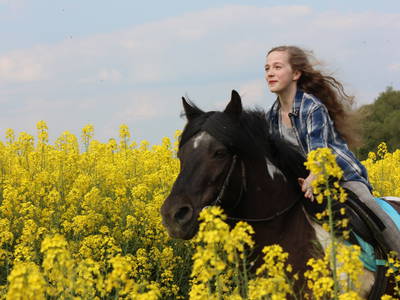 Bild 21 aus  Gut Sommereichen