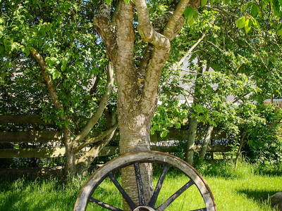 Bild 59 aus  Piratenhof Störtenbecker