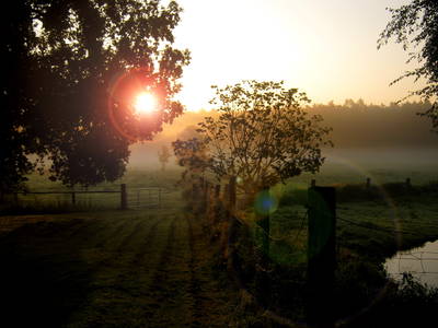 Bild 21 aus  Imkershof