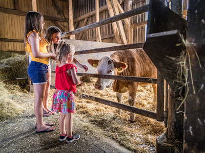 Foto von Oberpfälzer Wald