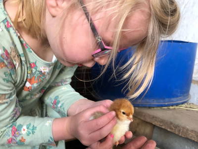 Bild 37 aus  Ferienhof Morich Harz