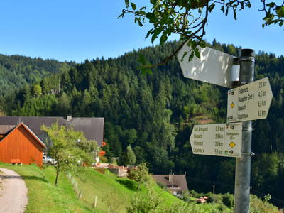 Wanderwege direkt beim Müllerbauernhof