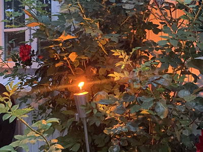 Bild 13 aus  Heverhus