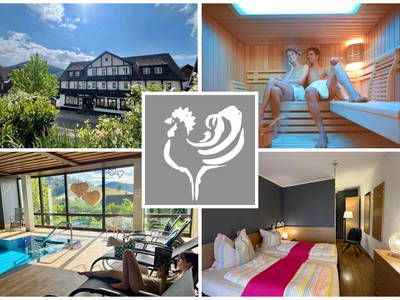 Bild 55 aus  Goldener Hahn - Hyggeliges Aparthotel mit Frühstücksbuffet, Pool & Sauna