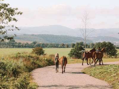 Bild 10 aus  Birkenhof - Ferienhof, Landcafé & Rösterei