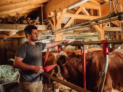 Bild 31 aus  Martenhof