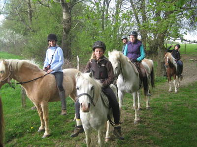 Bild 6 aus  Ferienhof-Marx