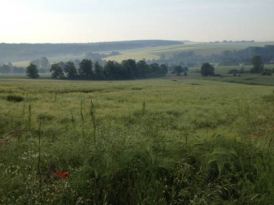 Bild 3 aus  Gutshof Wöbbel