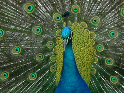 Bild 5 aus  Willrathshof