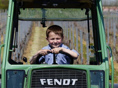 Bild 28 aus  Weingut Butzbach