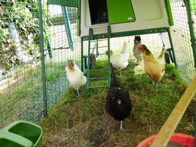 Bild 4 aus  Hof Temmelmann