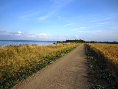 Panoramafahrradweg direkt an der Ostsee an unserem Ferienbauernhof