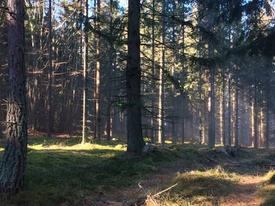 Bild 4 aus  Hofgut Koryto