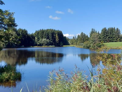 Sticher Weiher ganz in der Nähe vom Hof