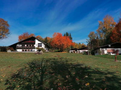 Bild 9 aus  Ferienhaus Pfifferlingstiel