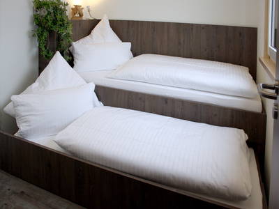 Bild 39 aus  Hollweck's Landoase