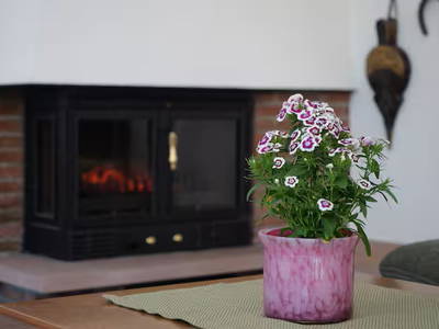 Bild 12 aus  Villa Schwarzwaldblick