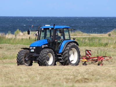Bild 10 aus  Hof Grünberg