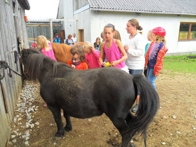 Bild 4 aus  Ferienhof Jansen