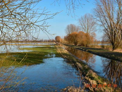 Bild 12 aus  Ferienhof Höffler/im Sternenpark Westhavelland