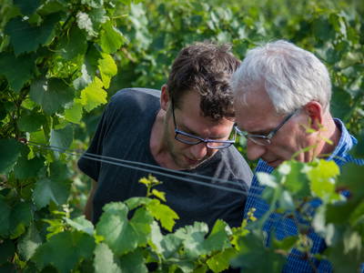 Prüfende Blicke der beiden "Kellergeister" Simon und Wigbert