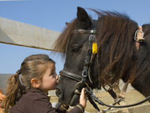 Bild 9 aus  Margarethenhof