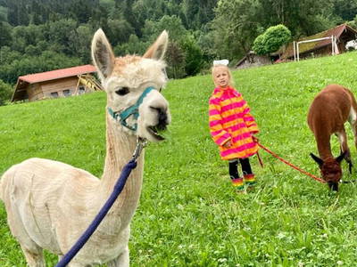 Bild 53 aus  Strublhof