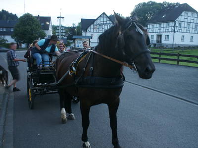 Bild 60 aus  Ferienhof Pulte