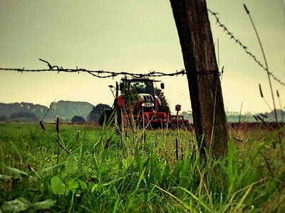 Bild 4 aus  Ferienhof Greggersen