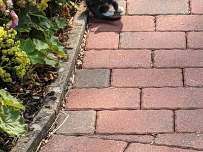 Bild 16 aus  Ferienhof Gellert