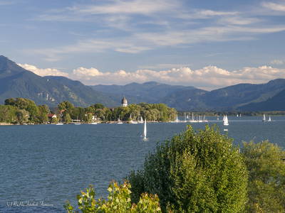 Bild 41 aus  Fuchsbauernhof