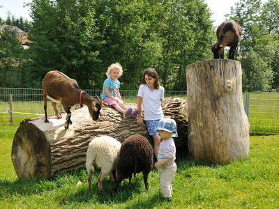 Bild 6 aus  Edmeierhof