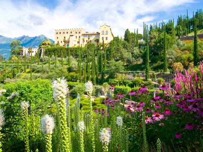 Bild 52 aus  Wiesbauer - Urlaub in Schenna - Südtirol