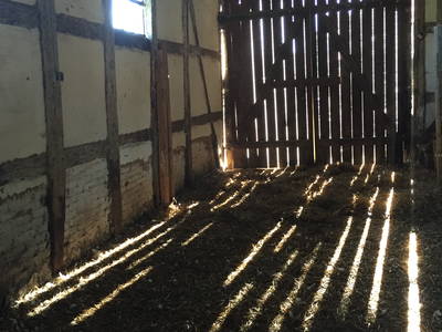 Bild 30 aus  Dreiseithof Schmadebeck