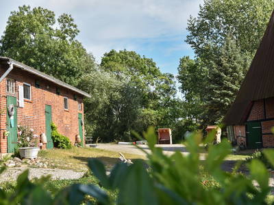 Bild 3 aus  Sonis kleine Farm Grömitz