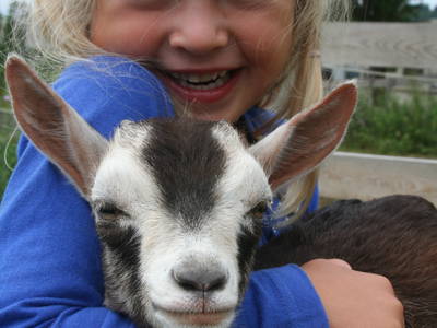 Bild 13 aus  Campingplatz Edersee-Paradies