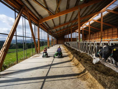 Bild 27 aus  Hof Keppel, der stromlose Urlaub