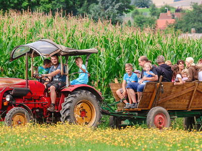 Bild 30 aus  Ferienhof Kosertal