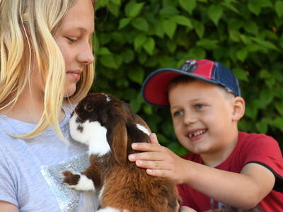 Bild 12 aus  Ferienbauernhof Schuler