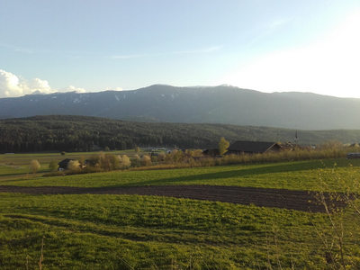 Bild 7 aus  Unterschöpferhof