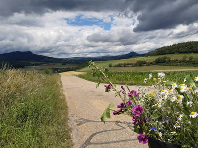 Bild 36 aus  Dürrenhof