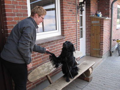 Bild 19 aus  Ferienhof Siemen