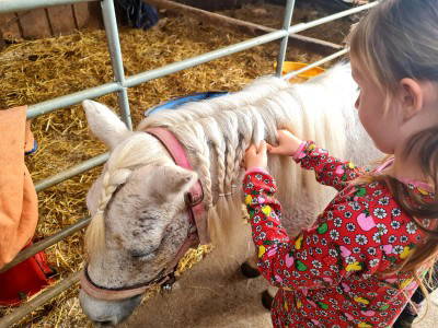 Bild 5 aus  Ferienhof Schnoor