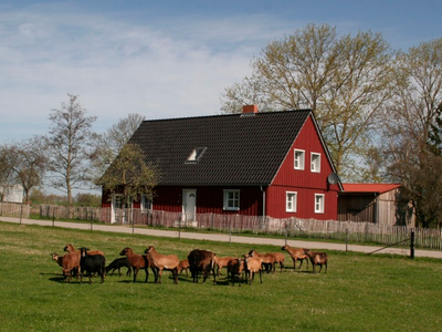 Bild 3 aus  Ferien in Zahren