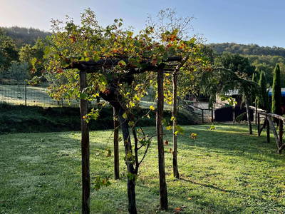 Bild 19 aus  Casa Bivignano