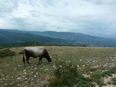 Bild 51 aus  Agriturismo Bartoli