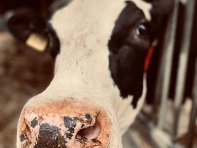 Bild 19 aus  Soodehof  Eins - Ihr Kinder-Erlebnisbauernhof in Nordhessen