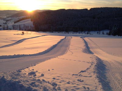 Bild 21 aus  Haberjockelshof