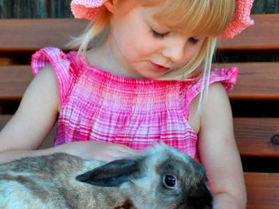 Bild 9 aus  Landhof Orf